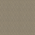 52504